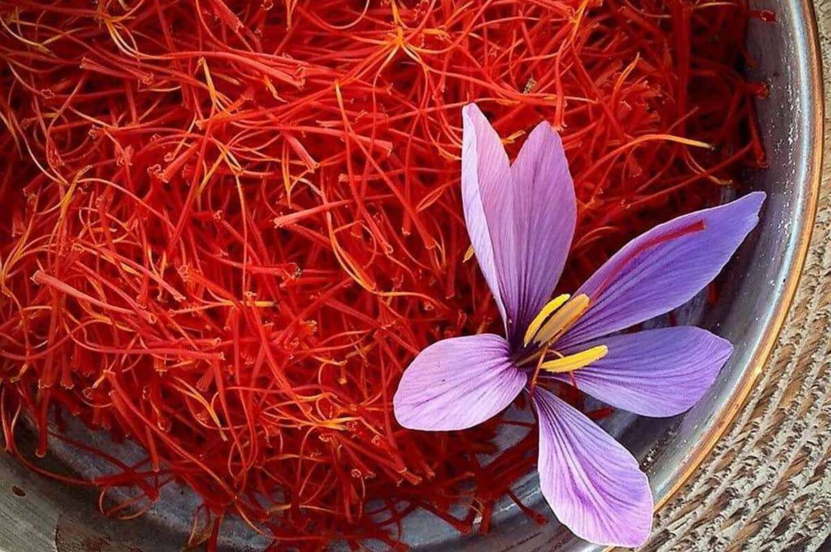 ارزش ۵۶ میلیاردی معاملات صندوق زعفران در بورس