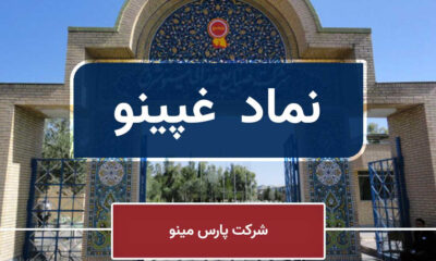 صادرات به ۲۰ کشور و افزایش سرمایه جدید «غپینو»