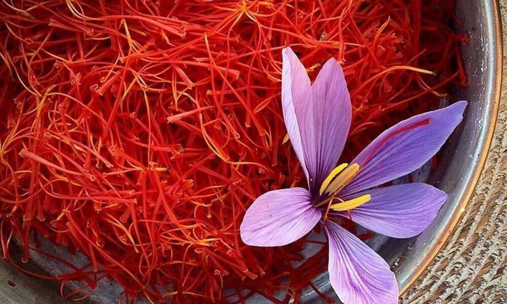 ارزش ۵۶ میلیاردی معاملات صندوق زعفران در بورس