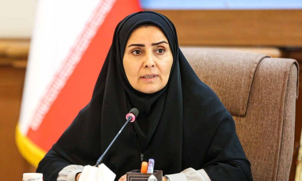 وزیر راه: حمل‌ونقل جاده‌ای و ریلی جایگزین پروازها می‌شود