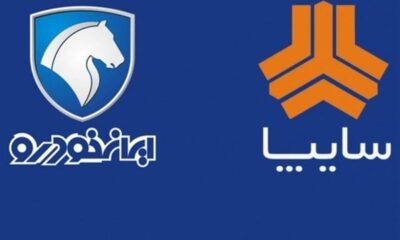 دولت نمی‌تواند ۱۰۰ درصد سهام ایران‌خودرو و سایپا را واگذار کند