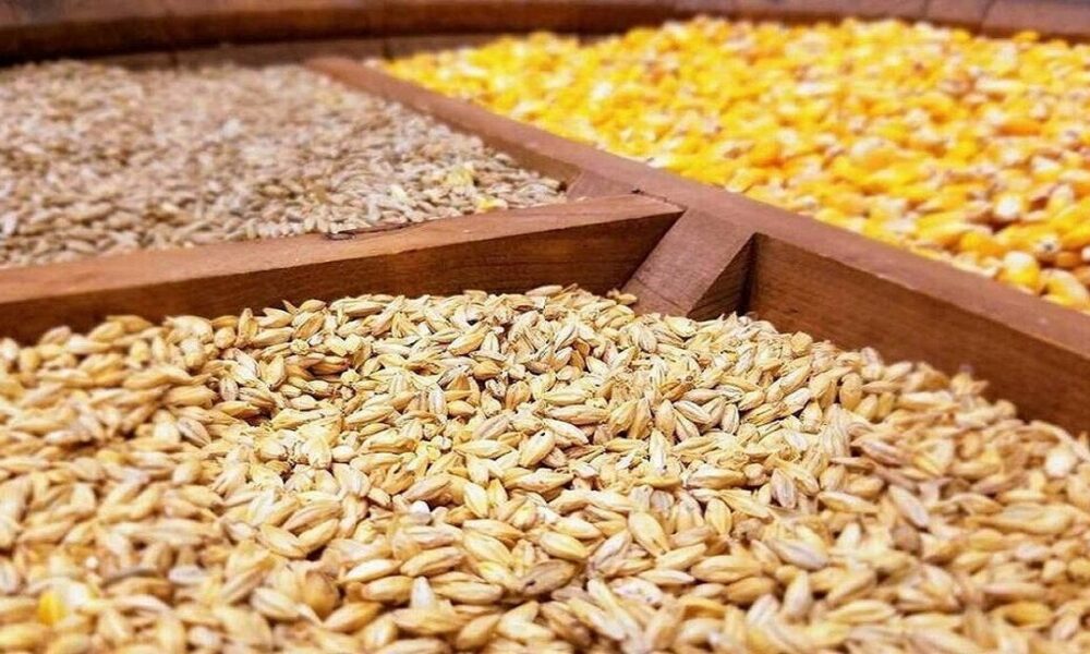 واردات نهاده‌های دامی