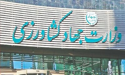 کوتاهی وزارت جهاد در نظارت بر سامانه بازارگاه