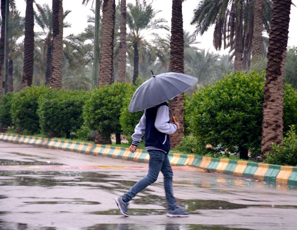 هواشناسی