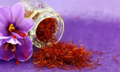 زعفران در بورس کالا